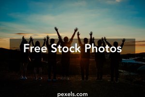 Conheça 5 bancos de imagens gratuitos 